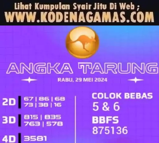 SYAIR SDY VIP